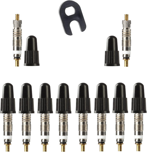 Presta Valve Cores with Removal Tool and 10 Cores and 10 Caps for Tubeless Tires. Mountain, Road Bike and BMX Compatible. Silver 10 Pack.
