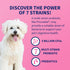 30 Nutramax Proviable Probiotics for Dogs and Cats, Daily Digestive Health Supplement with Multiple Strains