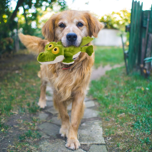 ALL FOR PAWS Ultrasonic Silent Squeaker Dog Toy, Quiet Comfort Plush Toy for Home and Office
