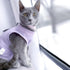 DOTON Cat Recovery Suit for Male and Female, Soft Cone Onesie Shirt Clothes for Post Surgery Neuter Licking Protection