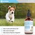 Puppy Vitamins, Liquid Puppy Supplements for Small Dogs, Large Breed Multivitamin, Bacon Flavor, 1 fl oz