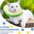 Weewooday 4 Pcs Adjustable Cat Cone Collar, Soft Recovery Collar for Kittens After Surgery, Anti Bite Lick