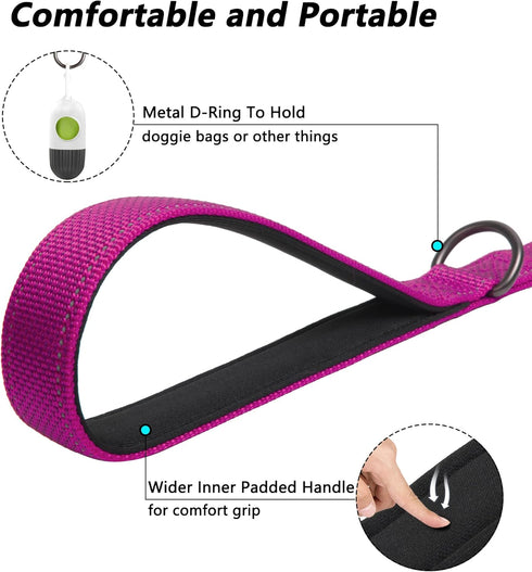 PetiFine 6FT Heavy Duty Dog Leash, Soft Padded Double Handle, Reflective Nylon Walking Lead for Large, Medium, Small