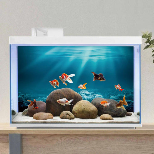 AWERT 36x18 inches Sunshine Underwater World Fish Tank Background, Undersea Theme Aquarium Background Vinyl