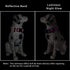 Mile High Life Nylon Night Light Glow Collar for Medium Dogs, Reflective Band Cat Collar, Safe Night Walk (Pink, XS)