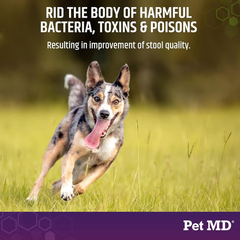 Pet MD Stool-Fix - 100g Powdered Clay Anti Diarrhea Treatment for Dogs & Cats, Promotes Normal Stool Relief