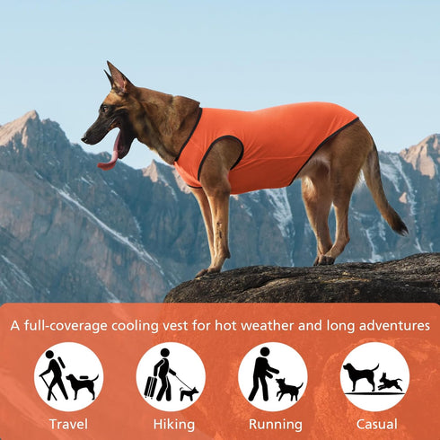 2 Pack Quick Dry Dog Shirt, Lightweight Mesh Breathable Clothes for Medium Dogs, Sports Fan Pet T-Shirts