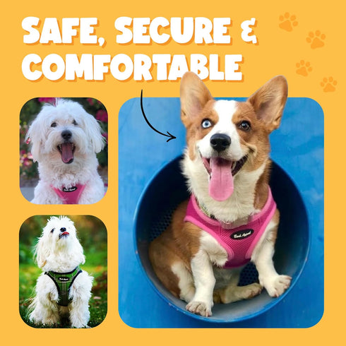 Pink Netted Step-in Dog Harness for Small-Medium Pets by Bark Appeal – Updated Sizing, XS