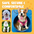 Pink Netted Step-in Dog Harness for Small-Medium Pets by Bark Appeal – Updated Sizing, XS