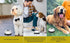 Generic Dog Training Starter Kit for Puppies Magnetic Treat Pouch & Potty Training Bell