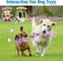 UPSKY 2 Pack Nearly Indestructible Dog Rope Toys for Medium to Large Breeds, Dental Chew Toys