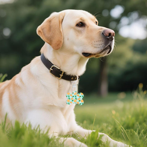 GZEKWLP Citrus Orange Slices Flowers Double Sided Pet ID Tag for Dogs and Cats, Bone Shaped Acrylic Sign with Keychain