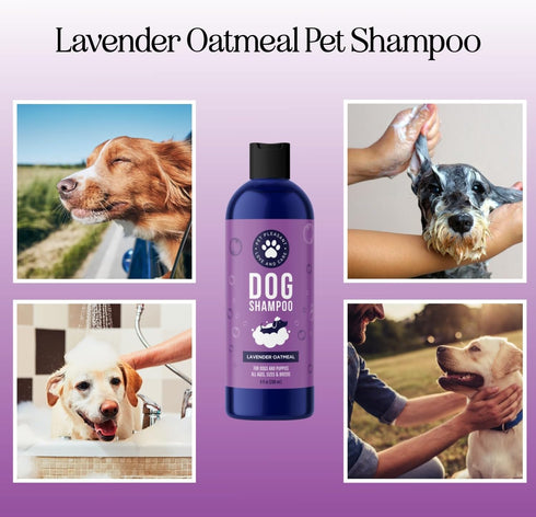Soothing Oatmeal Shampoo for Dogs - Cleansing and Moisturizing Aloe & Oatmeal Dog Shampoo (Lavender Vanilla)