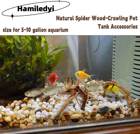 Hamiledyi 6 PCS Natural Spider Wood Driftwood, Assorted Branches for Reptiles and Fish Tank Decoration (6-8 inch)