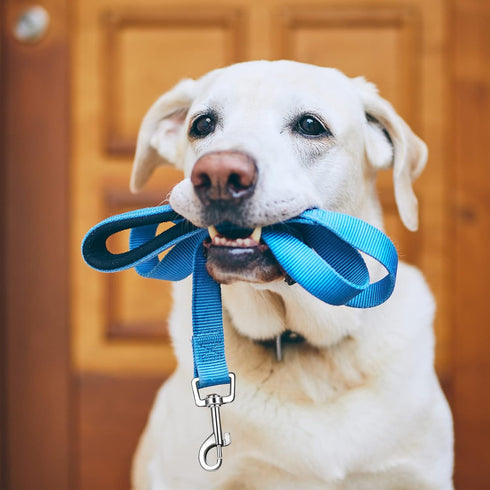 6 Pieces Double Sided Reflective Dog Leash - Nylon Leashes for Medium and Large Dogs, Heavy Duty Padded Handle