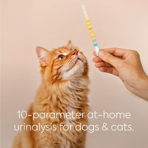 10-Parameter 30 Packed DIAGNOX HEALTH PETNOX Cat & Dog Urine Test Strips - x Individually & Veterinary Grade Tests