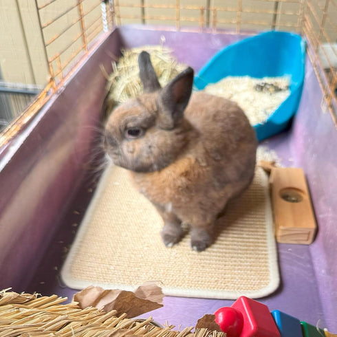 (3Pcs, 15.7x11.8 inches) PODOO Bunny Scratch Pads, Sisal Rabbit Scratching Pad, Natural Rabbit Resting Mats for Cages