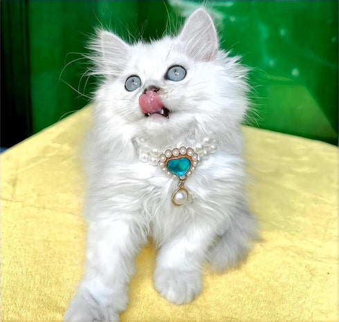 Handmade Pearl Dog Necklace, Cute Cat Collar, Fancy Adjustable Puppy Collar with Blue Heart Jewelry for Birthday Party