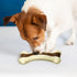 Sosation 3 Pack Chew Toys for Aggressive Chewers - Nylon Beef Flavor Teething Toys for Large/Medium/Small Puppies