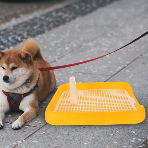 ULTECHNOVO Dog Litter Box Mesh Training Toilet Potty Tray for Puppy and Small Size Dog Indoor Dogs Potty Training Pads