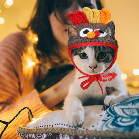 Rypet Cat Turkey Costume, Pet Turkey Hat Thanksgiving Apparel for Cats and Small Dogs