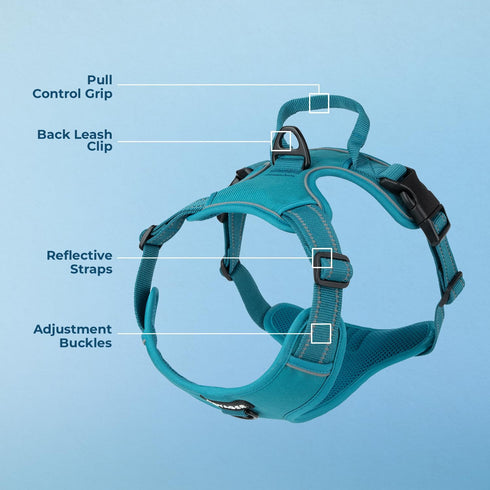 Voyager No Pull Dog Harness for Extra Small Dogs, Adjustable Soft Pet Harness with Dual Leash Attachments, Turquoise