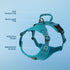 Voyager No Pull Dog Harness for Small Dogs, Adjustable Soft Pet Harness with Dual Leash Attachments, Turquoise Nylon