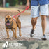 AUROTH Heavy Duty Bungee Dog Leash for Large Breed Dogs, No Pull with Car Seat Belt, 2 Padded Handles