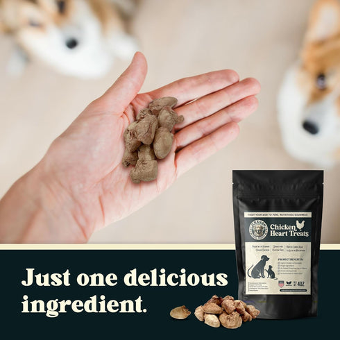 Oregon Trail Treats Freeze Dried Chicken Hearts 4oz - Premium Single Ingredient Cat & Dog Treats, Made in USA