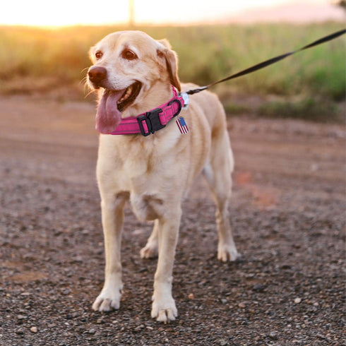 Dog Collar Tactical Highly Reflective Military Pet Collar Nylon with American Flag Patch and Pendant for XL Pink