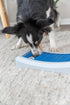 TRIXIE Rod Board Level 1 Strategy Game - Beginner Dog Puzzle Toy for Enrichment & Interactive Play