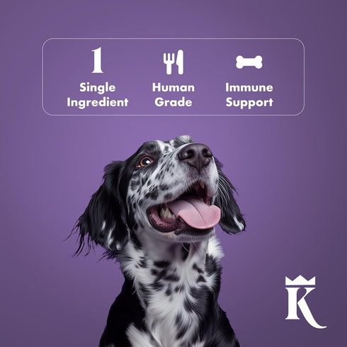 1 lb King Lou Pets - USA-Made Dehydrated Beef Heart Jerky Dog Treats - of Fresh Beef Heart Prior to Dehydration