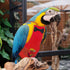 Bird Diaper Washable Parrot Diapers Reusable Bird Flight Suit Nappies Protective Breathable Parrot Nappy Clothes