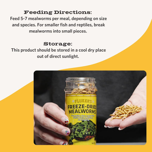 Fluker's Freeze Dried Insects, Mealworms, 1.7 oz, Ideal for Lizards, Reptiles, Birds, Fish