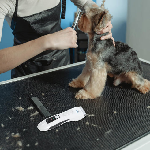 Trimmer 4 Hemoton Rechargeable Dog Hair Clipper USB Electric Pet Hair Low Noise Grooming Kit with Cleaning Brush