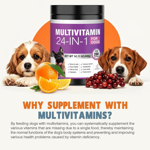 24-in-1 200 Omega-3 Immune Dog Vitamins and Supplements Ct Dogs Multivitamin Chewable Contain Chondroitin Probiotics