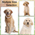 Metal Cuban Diamond Dog Chain - Secure Buckle Training Collar for Large Medium Dogs