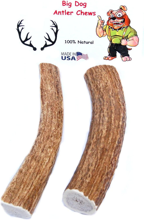 Extra Large 2-Pack Elk Antler Dog Chews, 6 to 10 inches Long for Medium to Large Dogs and Puppies