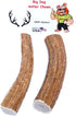Extra Large 2-Pack Elk Antler Dog Chews, 6 to 10 inches Long for Medium to Large Dogs and Puppies