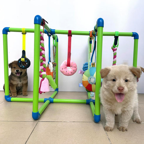 Amlmpet 9 Puppy Play Gym - PVC Frame with Hanging Toys for Small Dogs to Keep Them Busy, Dog Jungle Gym Center