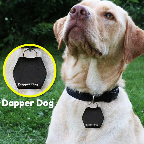 Dapper Dog Dog Tag Silencer, Tag Ring (Black)