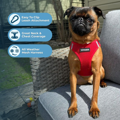 Best Pet Supplies Voyager Step-in Air Dog Harness - All Weather Mesh, Reflective, No Pull, Red, M