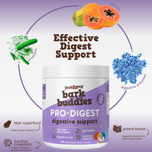 Jack&Pup Probiotic Chews for Dogs, Pro-Digest Bark Buddies for Small and Medium Dogs (Up to 40 lbs) - 60ct