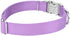 Country Brook Petz Premium Nylon Dog Collar with Metal Buckle for Small Medium Large Breeds (Large, 1 Inch, Lavender)