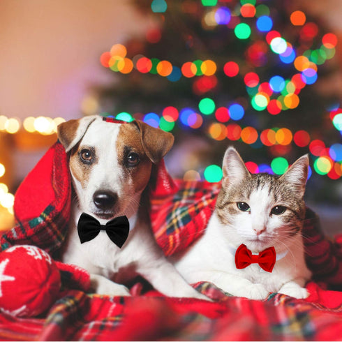 4 Pieces Adjustable Pet Bow Tie Costume for Small Dogs and Cats, Formal Grooming Ties, Party Accessories