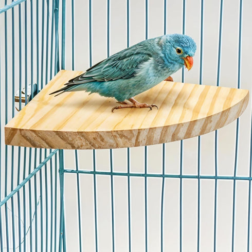 Trinkrittey 6.7 Inches Bird Perch Platform Stand Wooden Parrot Perch Corner Fan Shape Playground Cage Accessories