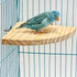 Trinkrittey 6.7 Inches Bird Perch Platform Stand Wooden Parrot Perch Corner Fan Shape Playground Cage Accessories