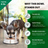Iconic Pet Stainless Steel Non-Skid Pet Bowl, Rust Free and Odor Resistant for Dogs and Cats