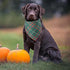 2 Pack, Doncida Red Green Buffalo Plaid Dog Bandanas for Christmas Reversible Triangle Dog Scarf for Medium and Large