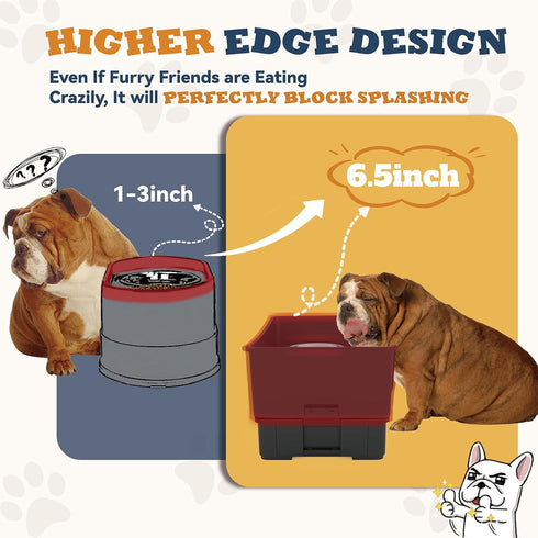 Mess Proof Dog Bowls Set, No Spill Edge Pet Feeder with 2 Stainless Steel Bowls for Medium Dogs